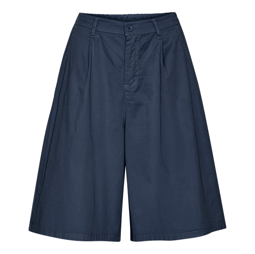 Saga Shorts Blue